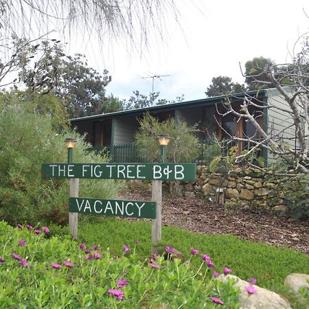 The Fig Tree B&B Baudin Beach Экстерьер фото
