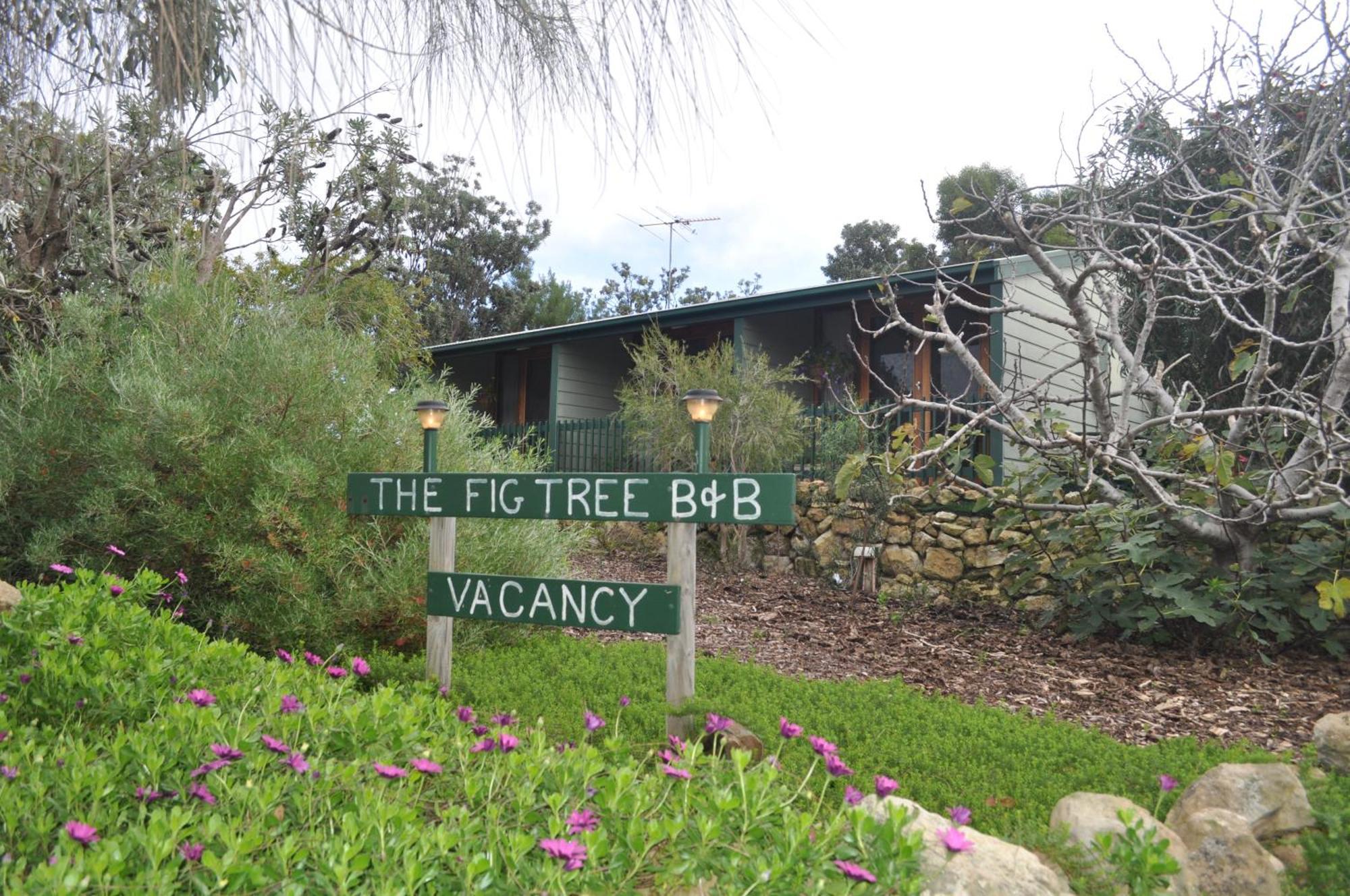 The Fig Tree B&B Baudin Beach Экстерьер фото